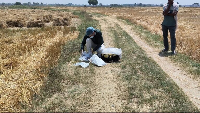 रणवीरपुर गांव में अज्ञात शव मिलने से सनसनी, जांच में जुटी पुलिस