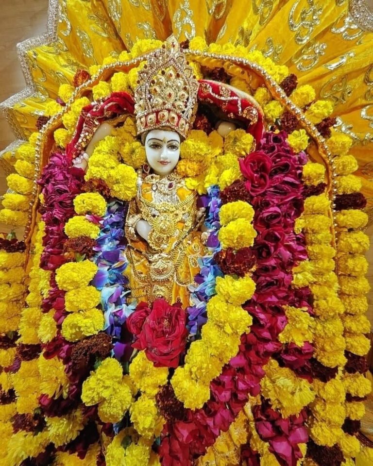 माँ बगलामुखी जयंती पर गोरखपुर में 24 घंटे का भव्य महायज्ञ