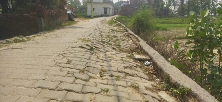 सड़क और नाली की समस्या से जूझ रही केवटलिया की जनता