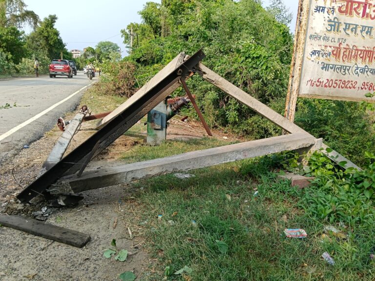 तेज आंधी पानी में गिरा पेड़ विद्युत व्यवस्था ध्वस्त