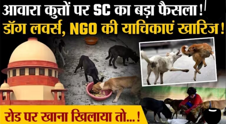 अनुच्छेद 21 की व्यापक व्याख्या: सुप्रीम कोर्ट ने डॉग लवर्स की सभी याचिकाएं खारिज कीं