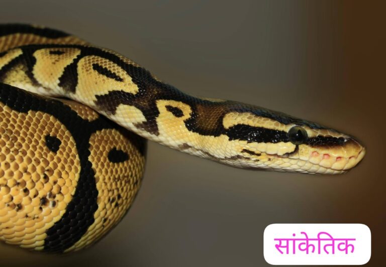 अमरनाथ यात्रा पर जा रहे हैं? इस घटना के बाद प्रशासन की चेतावनी जरूर पढ़ें