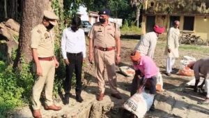 31 मुकदमों की 1324 लीटर अवैध शराब पर चला पुलिस का बुलडोजर